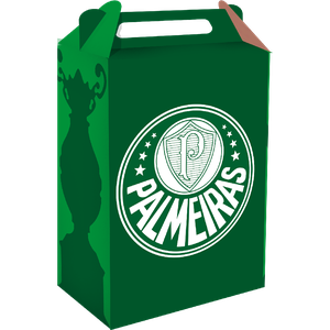 CAIXA SURPRESA PALMEIRAS