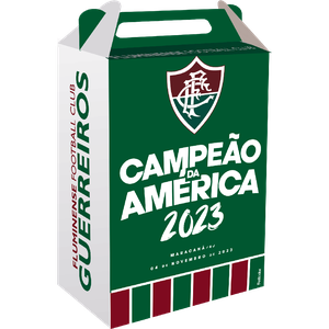 CAIXA SURPRESA FLUMINENSE OFICIAL