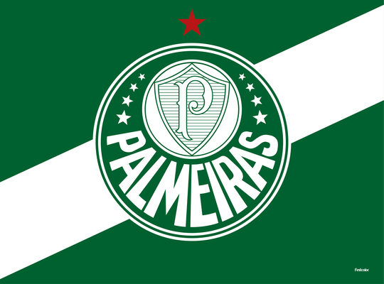 Produto Festcolor - PAINEL TNT PALMEIRAS