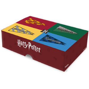 CAIXA 6 DOCES HARRY POTTER NEW