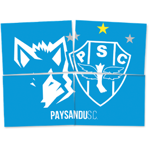 PAINEL 4 PARTES PAYSANDU