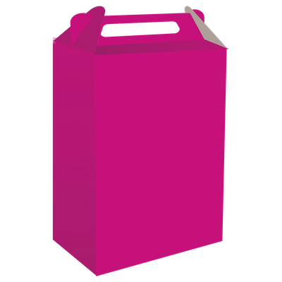 Produto Festcolor - CAIXA SURPRESA ROSA NEON FEST COLOR NEON