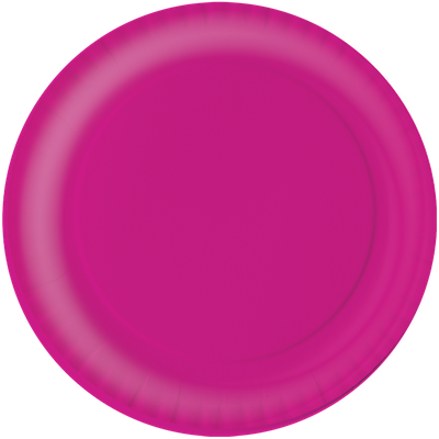 Produto Festcolor - PRATO ROSA NEON FEST COLOR NEON