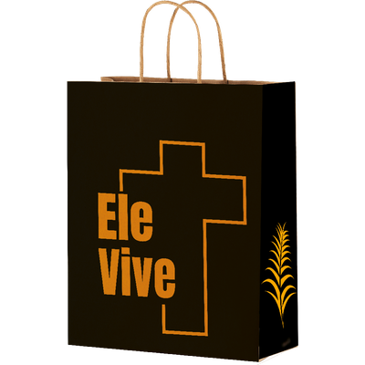 Produto Festcolor - SACOLA DE PAPEL M 29X24X12 PASCOA ELE VIVE